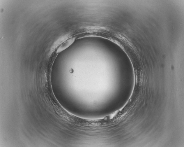 X0000060811261200511141457