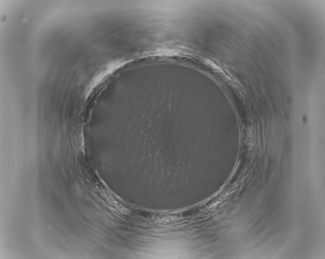 X0000060811262200511141457