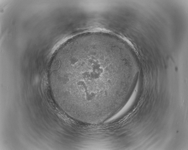 X0000060811263200511141457