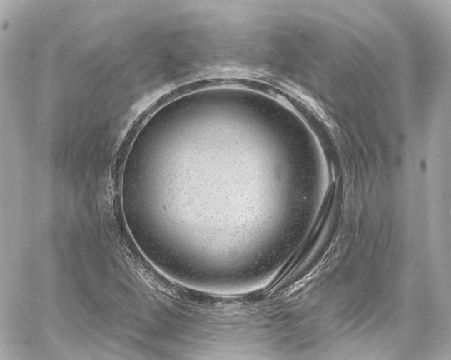 X0000060811264200511141457