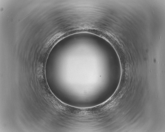 X0000060811265200511141457