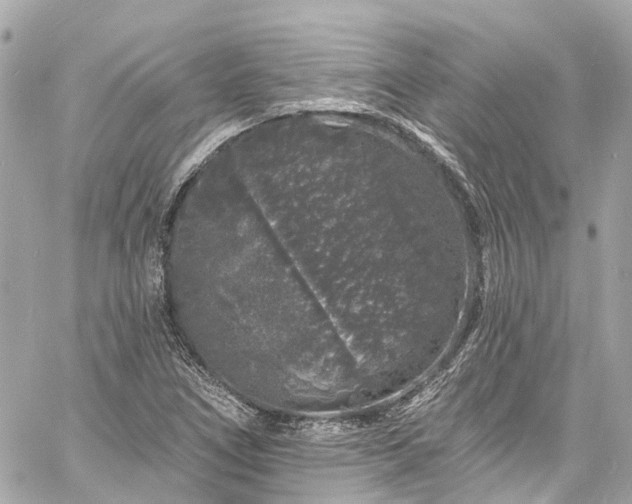 X0000060811266200511141457