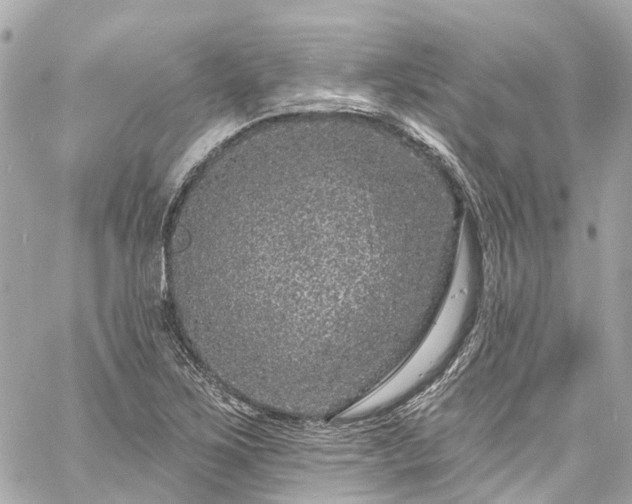 X0000060811267200511141457