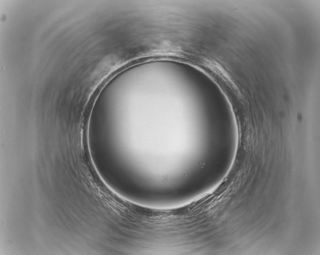 X0000060811268200511141457