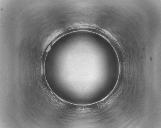 X0000060811269200511141457