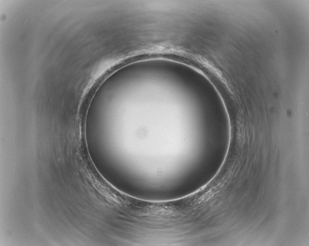 X0000060811270200511141457