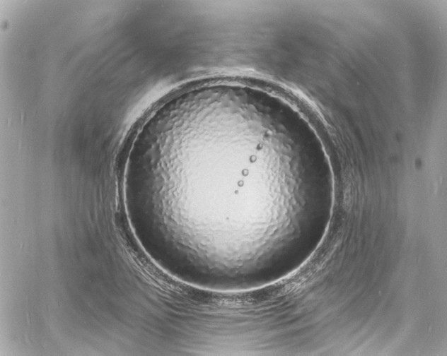 X0000060811271200511141457