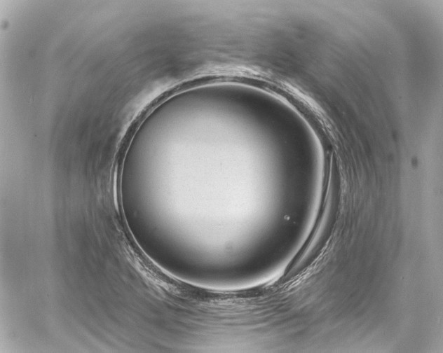 X0000060811272200511141457