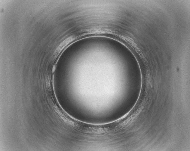 X0000060811273200511141457