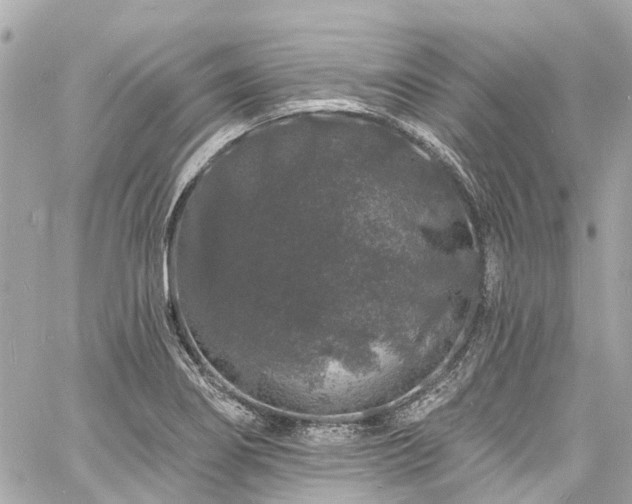 X0000060811274200511141457