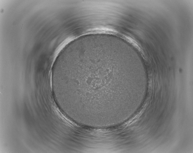 X0000060811275200511141457