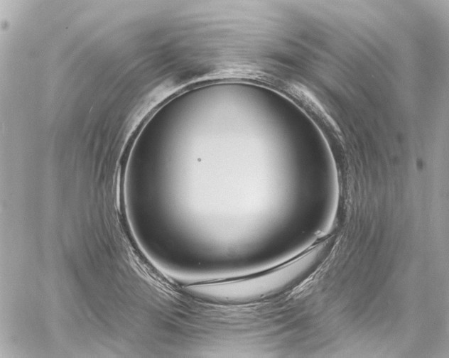 X0000060811276200511141457