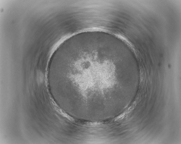 X0000060811278200511141456