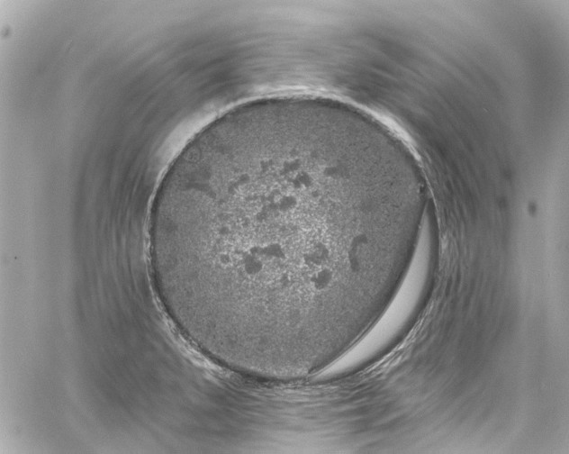 X0000060811279200511141456