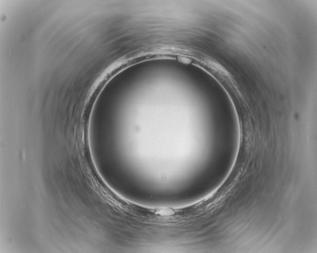 X0000060811280200511141456