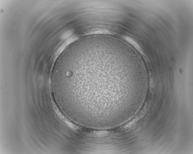 X0000060811282200511141456