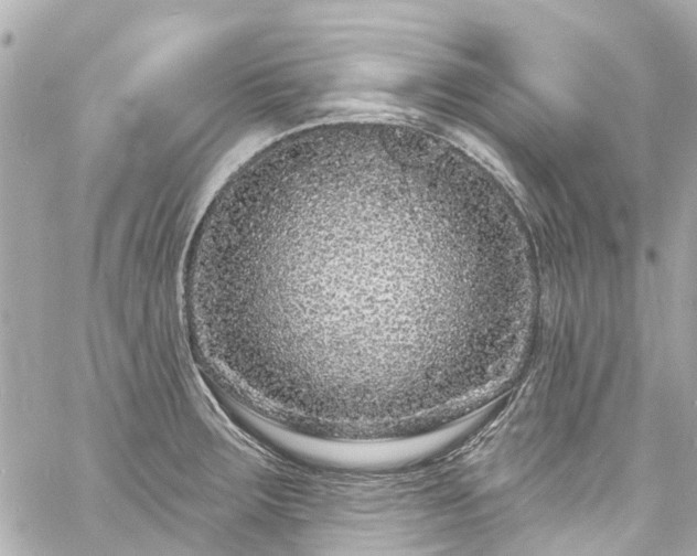 X0000060811283200511141456