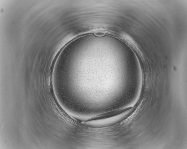 X0000060811284200511141456