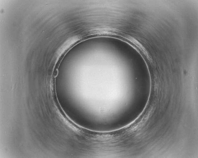 X0000060811285200511141456