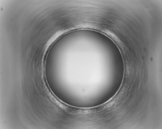 X0000060811286200511141456