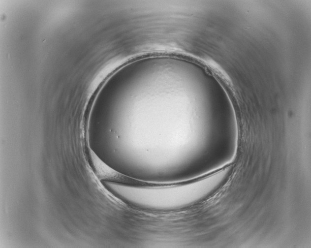 X0000060811287200511141456