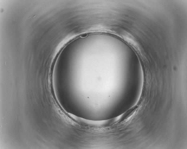 X0000060811288200511141456