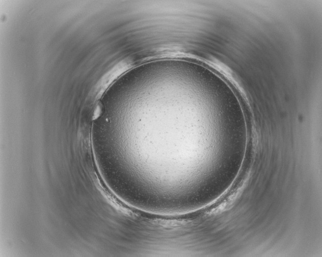 X0000060811289200511141456