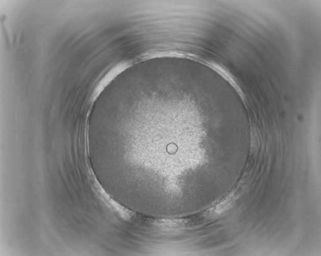 X0000060811290200511141456