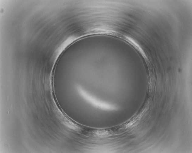 X0000060811291200511141456