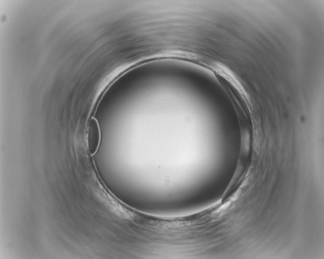 X0000060811292200511141456