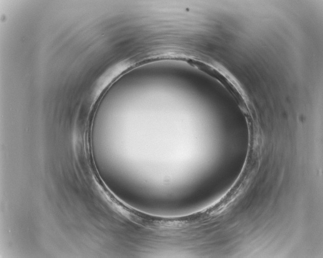 X0000060811293200511141456