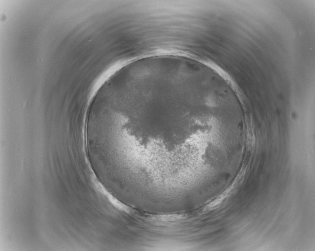 X0000060811294200511141456