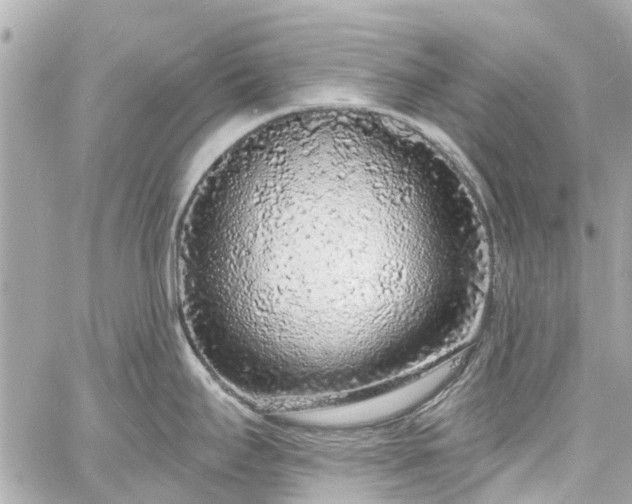 X0000060811295200511141456