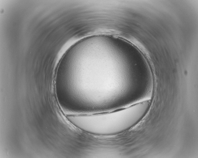 X0000060811296200511141456