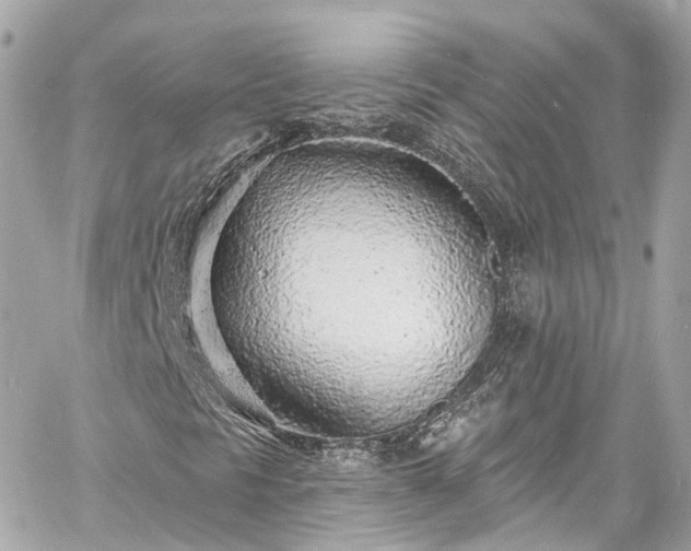 X0000060811297200511141455