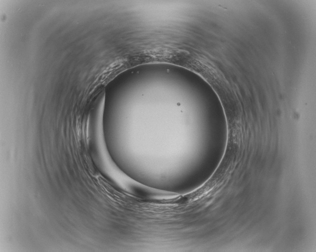 X0000060811298200511141455