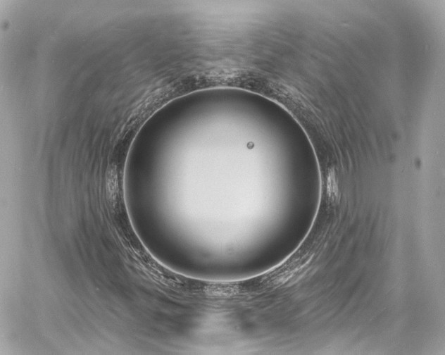 X0000060811299200511141455