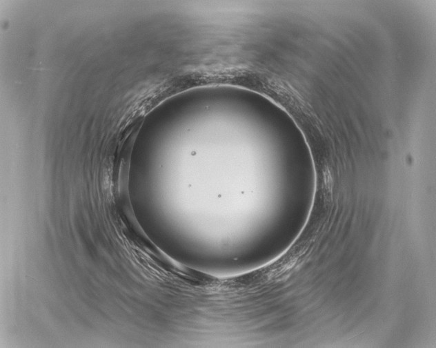 X0000060811300200511141455