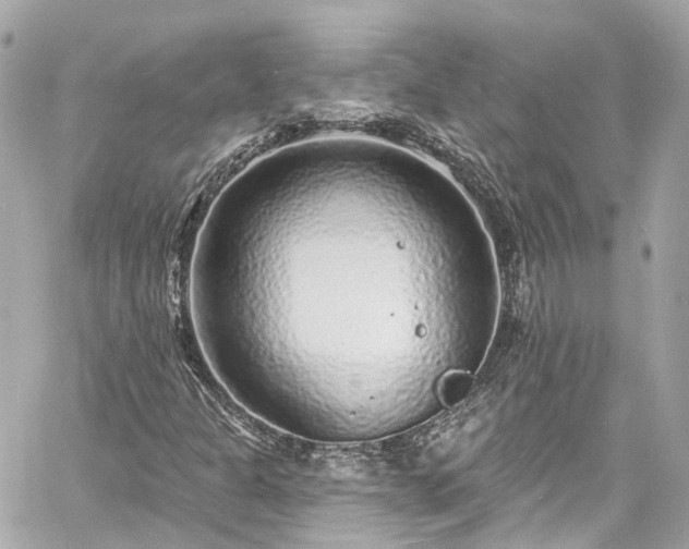 X0000060811301200511141455