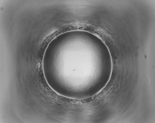 X0000060811302200511141455