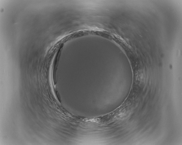 X0000060811303200511141455