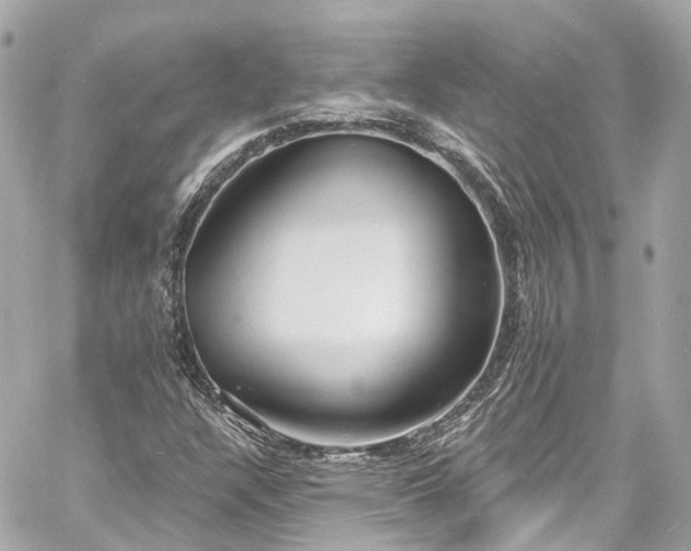 X0000060811304200511141455