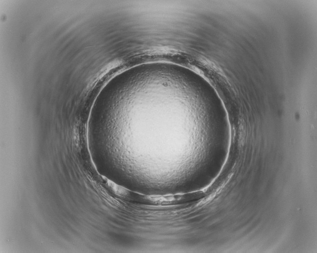 X0000060811305200511141456