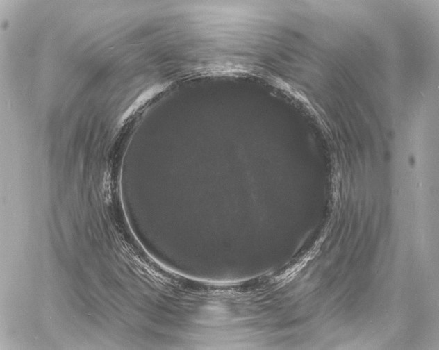 X0000060811306200511141456