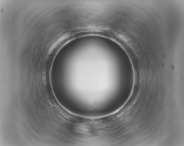 X0000060811307200511141456