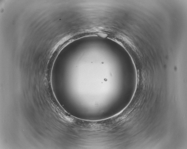 X0000060811308200511141456