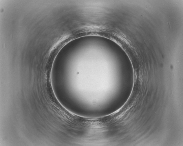 X0000060811309200511141456