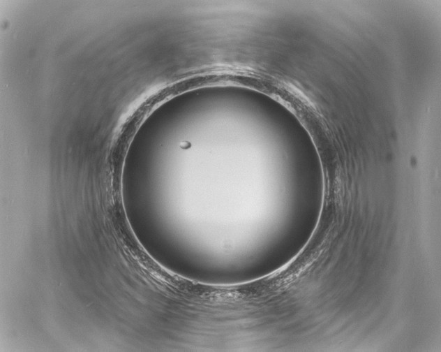 X0000060811310200511141456