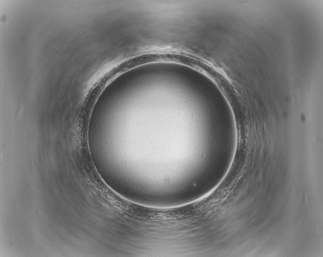 X0000060811311200511141456