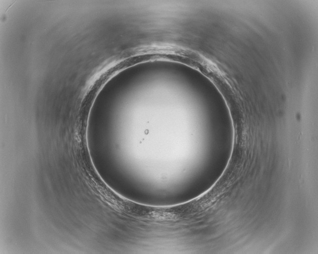 X0000060811312200511141456